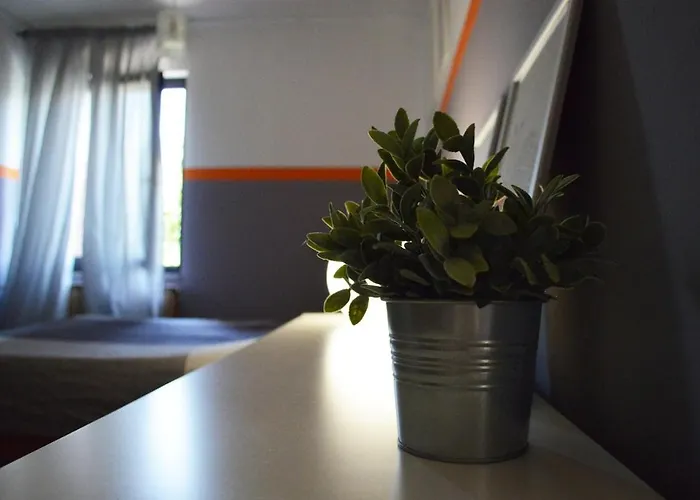 Wonderland 스코페