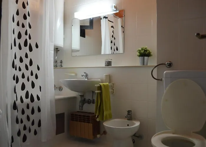 Wonderland 스코페